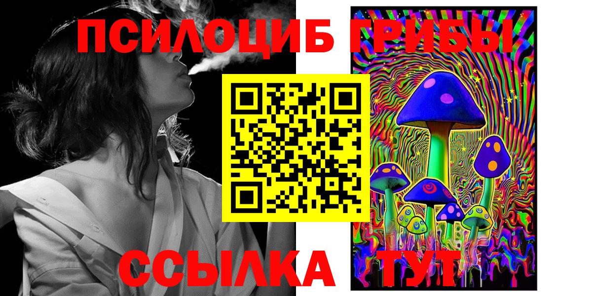 Галлюциногенные грибы Psilocybine cubensis Каменск-Шахтинский