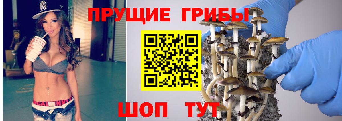 Псилоцибиновые грибы мицелий  Вход с VPN  Псилоцибиновые грибы Cubensis  Каменск-Шахтинский 